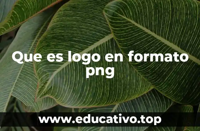 Que es logo en formato png