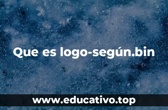 Que es logo-según.bin