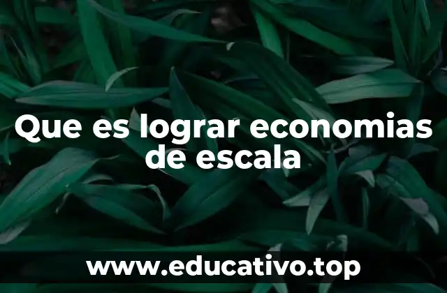 Que es lograr economias de escala