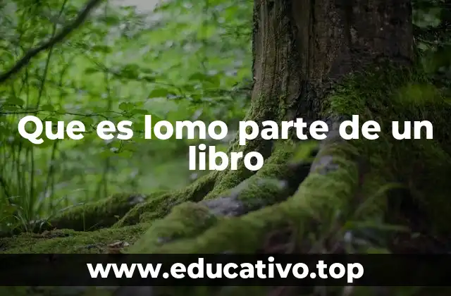 Que es lomo parte de un libro