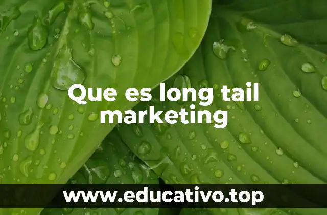 Que es long tail marketing