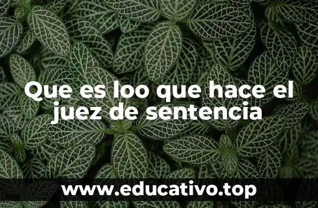 Que es loo que hace el juez de sentencia