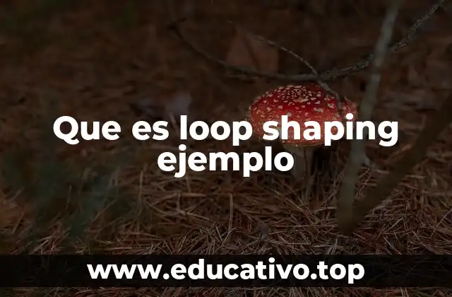 Que es loop shaping ejemplo