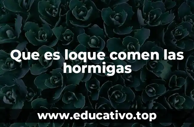 El papel de la alimentación en la vida social de las hormigas