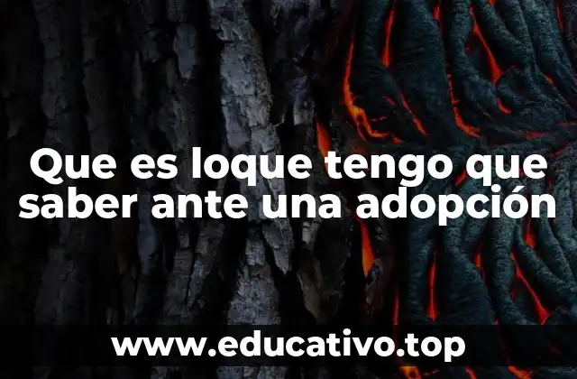 Que es loque tengo que saber ante una adopción