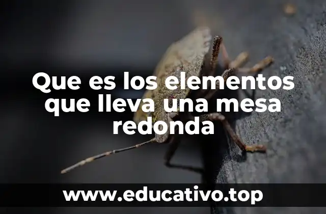 Que es los elementos que lleva una mesa redonda