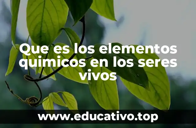 La base molecular de la vida y su relación con los elementos químicos