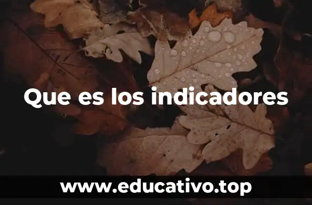 Que es los indicadores