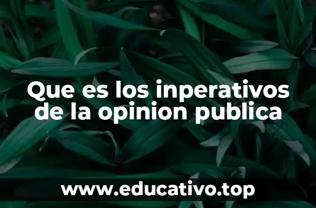 Que es los inperativos de la opinion publica