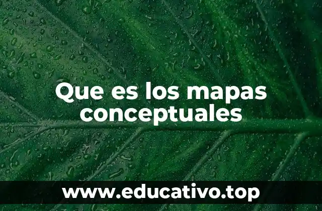 Que es los mapas conceptuales