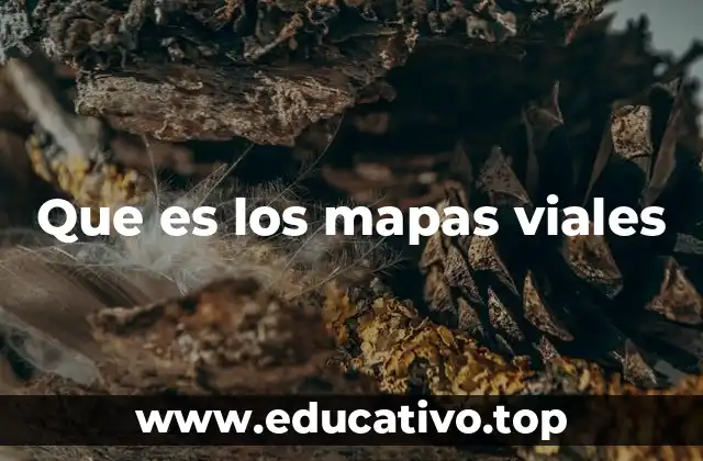 Que es los mapas viales