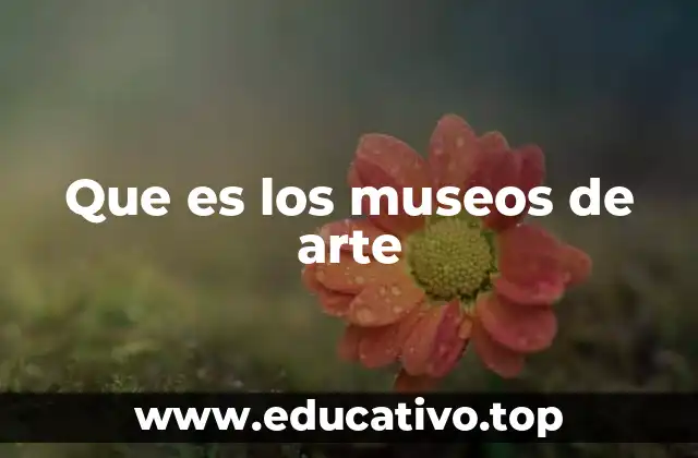 Que es los museos de arte