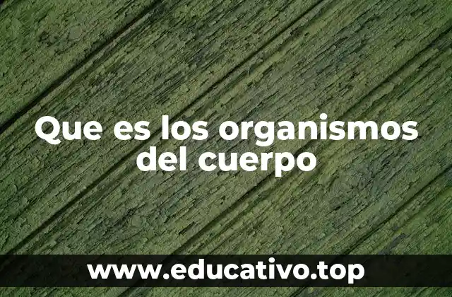 Que es los organismos del cuerpo