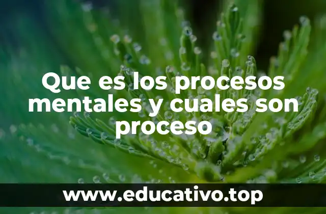 Que es los procesos mentales y cuales son proceso