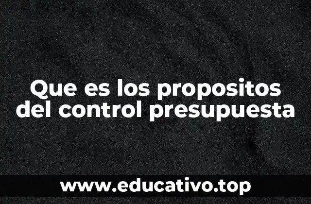 Que es los propositos del control presupuesta