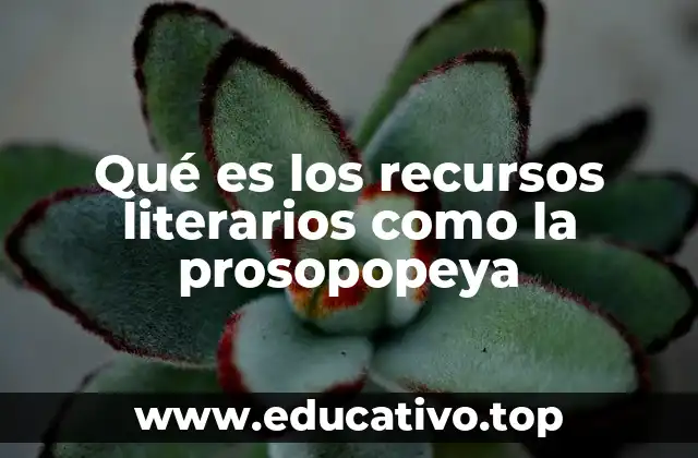 Qué es los recursos literarios como la prosopopeya