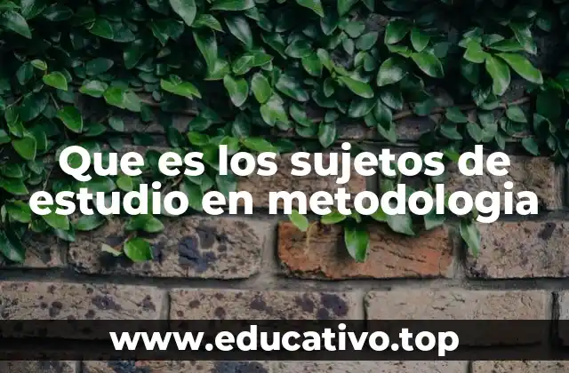 Que es los sujetos de estudio en metodologia