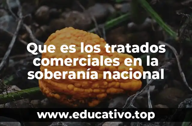 Que es los tratados comerciales en la soberanía nacional