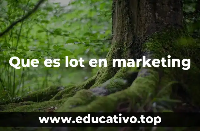 Que es lot en marketing