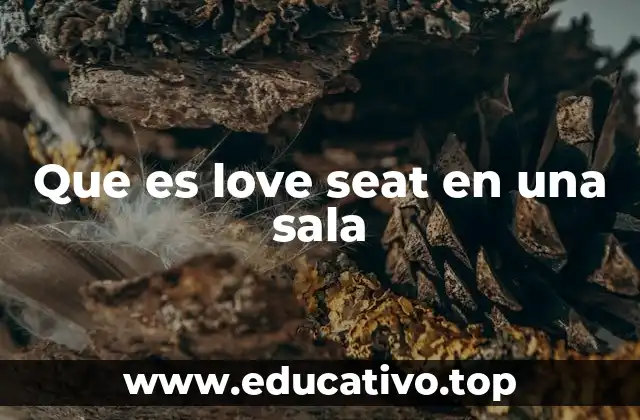 Que es love seat en una sala