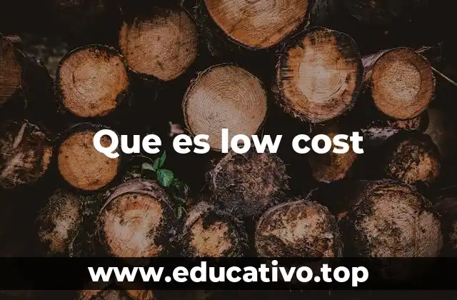 Que es low cost