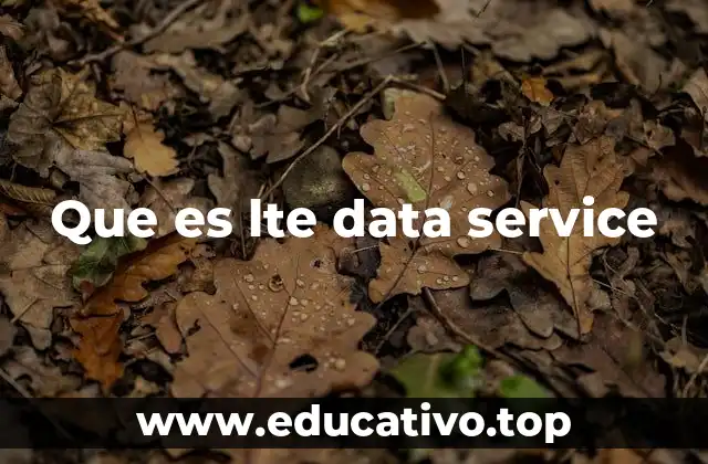 Que es lte data service