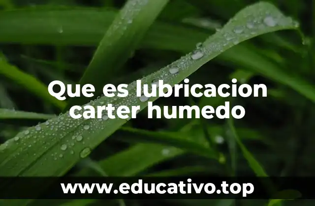 Que es lubricacion carter humedo