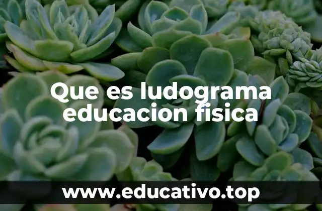 Que es ludograma educacion fisica