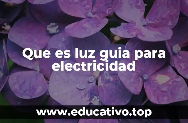Que es luz guia para electricidad