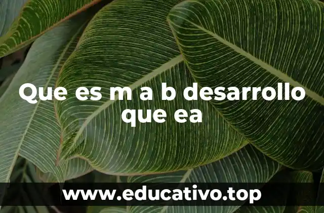 Que es m a b desarrollo que ea