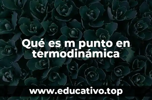 Qué es m punto en termodinámica