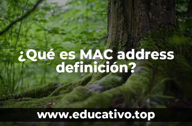 ¿Qué es MAC address definición?