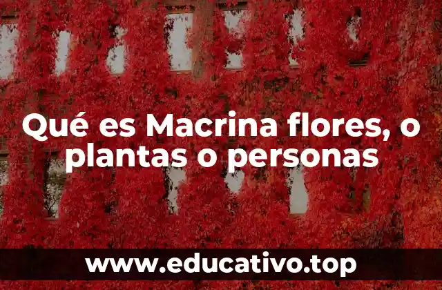 Qué es Macrina flores, o plantas o personas