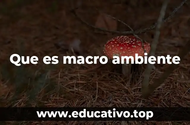 Que es macro ambiente