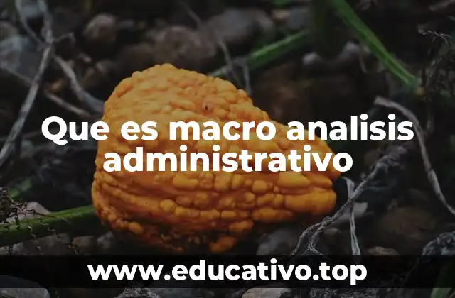 Que es macro analisis administrativo