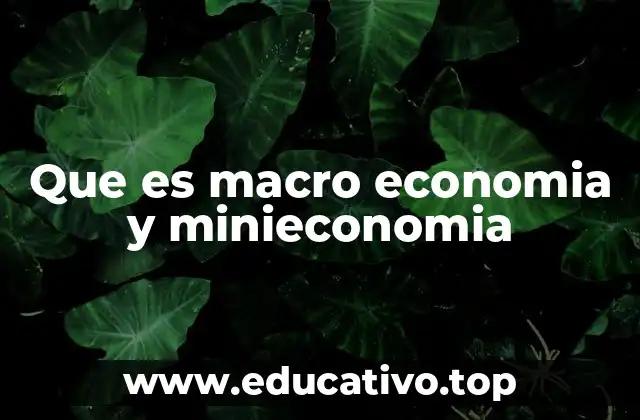 Que es macro economia y minieconomia