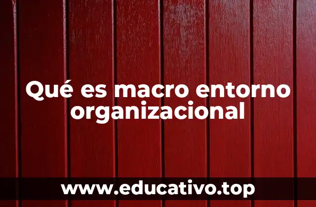 Qué es macro entorno organizacional