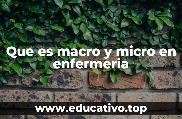 Que es macro y micro en enfermeria