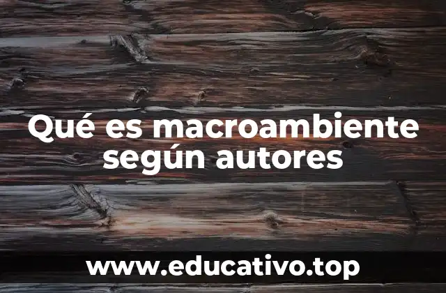 Qué es macroambiente según autores