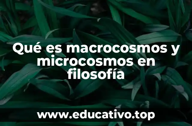 Qué es macrocosmos y microcosmos en filosofía