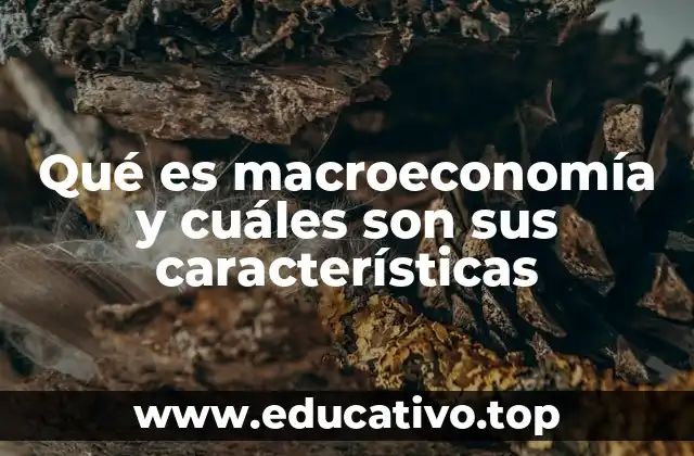 Qué es macroeconomía y cuáles son sus características