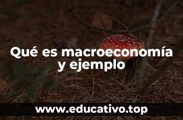 Qué es macroeconomía y ejemplo