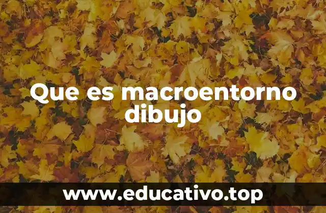 Que es macroentorno dibujo