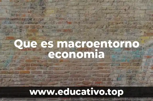 Que es macroentorno economia