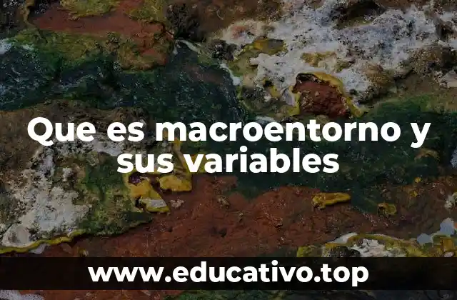Que es macroentorno y sus variables