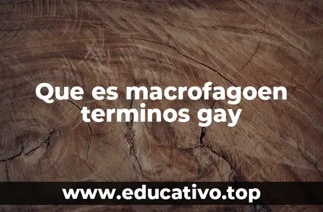 Que es macrofagoen terminos gay