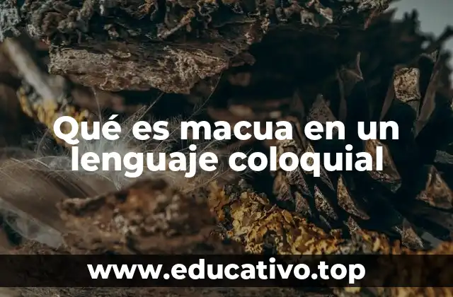 Qué es macua en un lenguaje coloquial