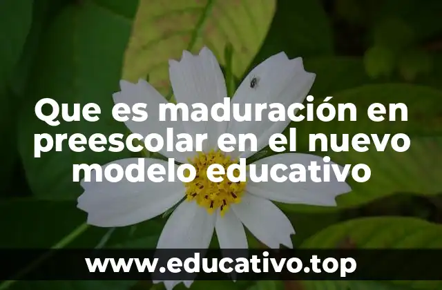 Que es maduración en preescolar en el nuevo modelo educativo