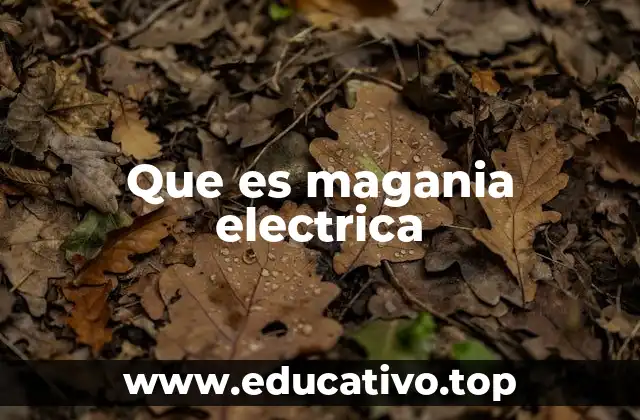 Que es magania electrica