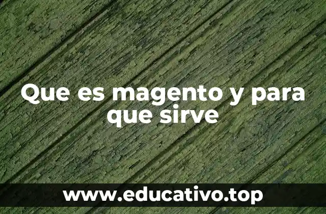 Que es magento y para que sirve